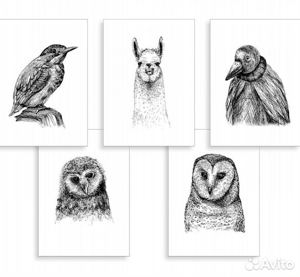 Открытки подарочные, на праздник, цветы, звери