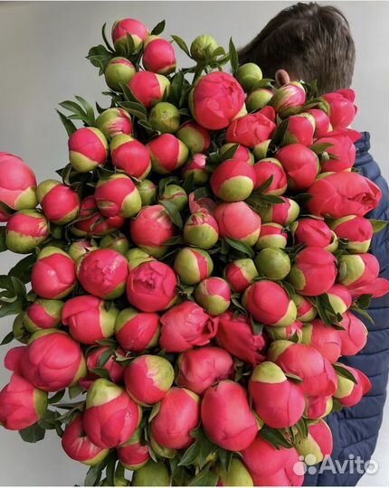 Пионы букет из пионов