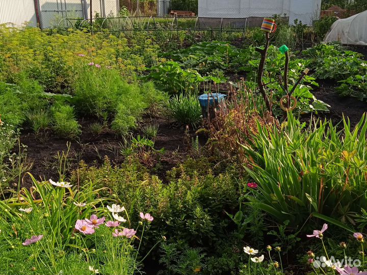 Парник пластмассовый трубки толстые