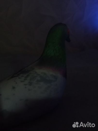 Мягкая игрушка голубь