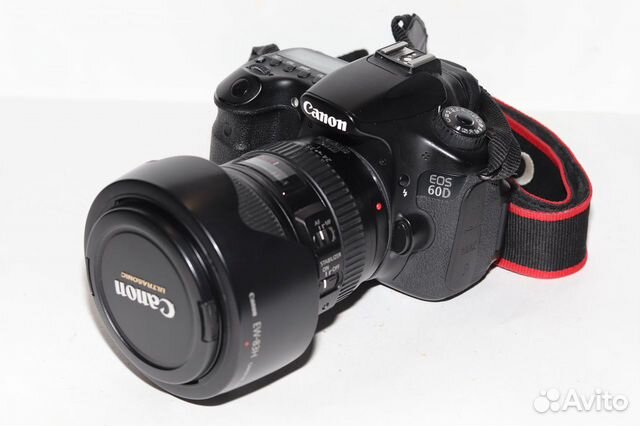 Canon 60D + Canon 24-105
