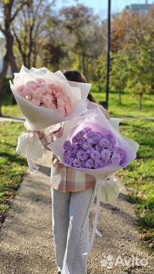 Хризантема букет живые цветы