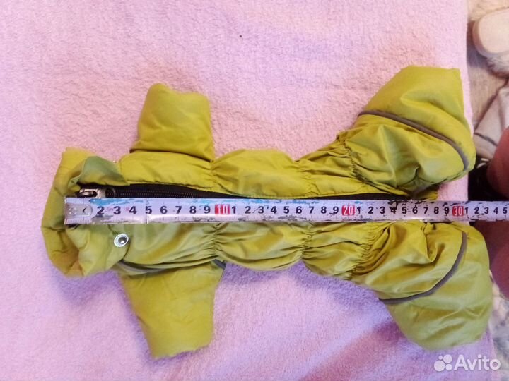 Одежда для собак мелких пород