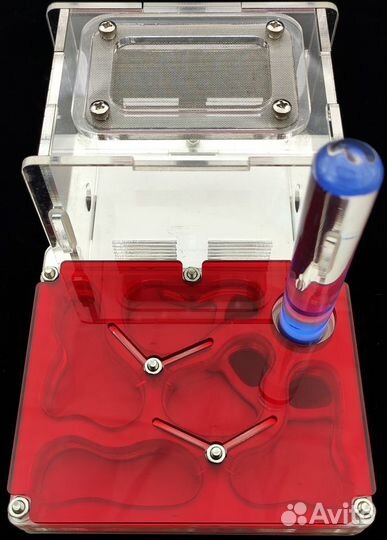 Муравьиные фермы + колонии Жнецов + Доставка