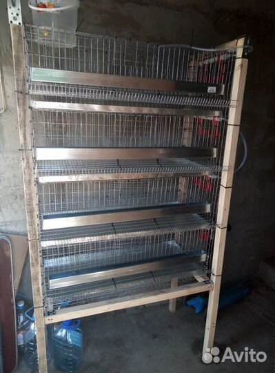 Клетки для перепелов