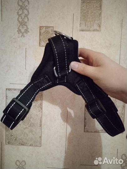 Шлейка для собаки