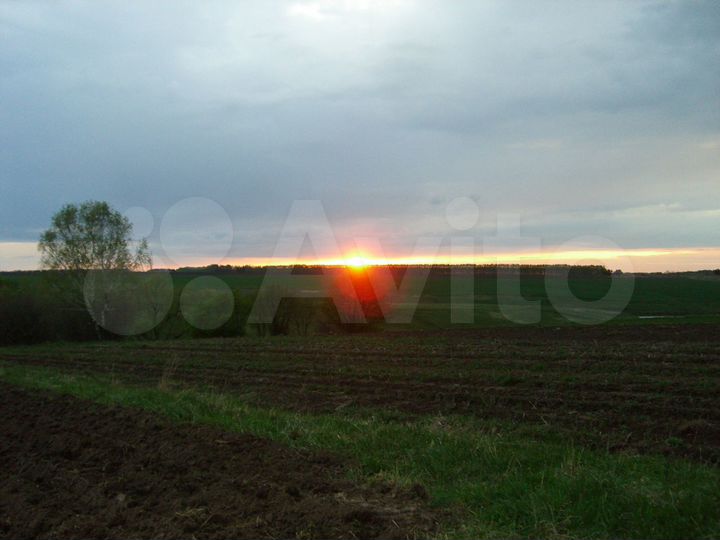 Дом 45 м² на участке 38 сот.