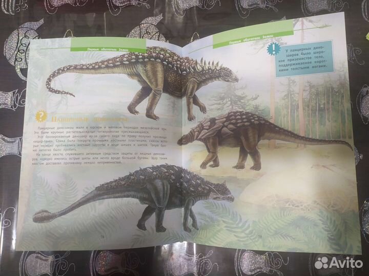 Энциклопедии 2 штуки