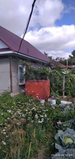 Дом 62 м² на участке 6 сот.