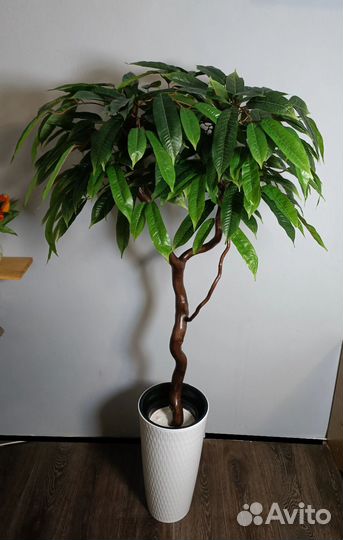 Манго искусственное дерево