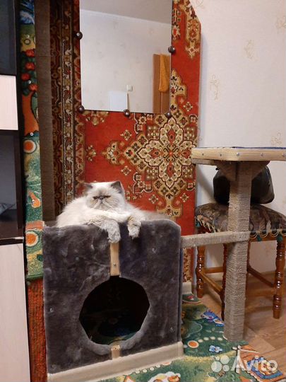 Домик для кошки с когтеточкой бу