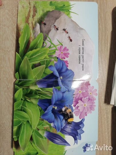 Вот ты где, шмель Книга