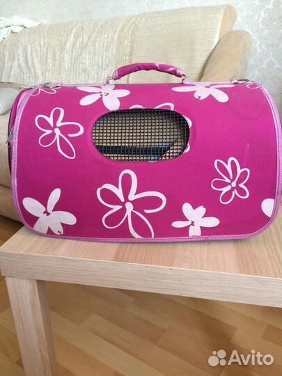 Переноски для животных пластиковая, 2 матерчатых