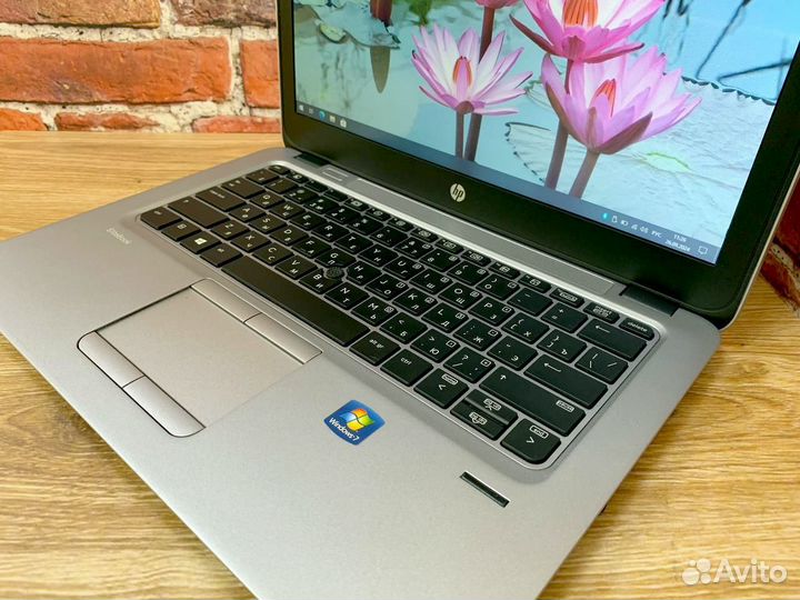 HP EliteBook 725 процессор A8 8gb Ноутбук Обмен