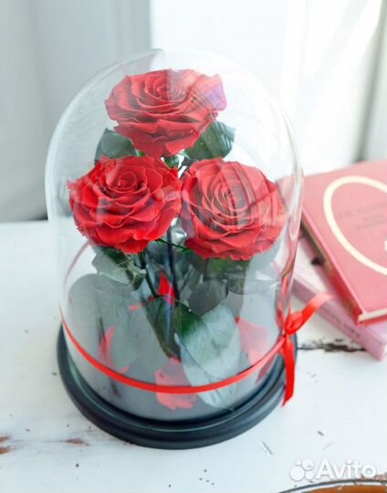 Роза в колбе. Много оттенков