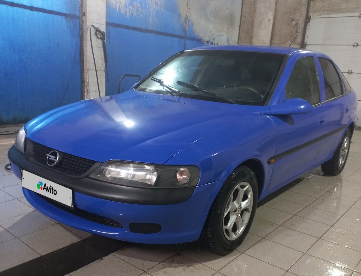 Opel Vectra: фото владельца