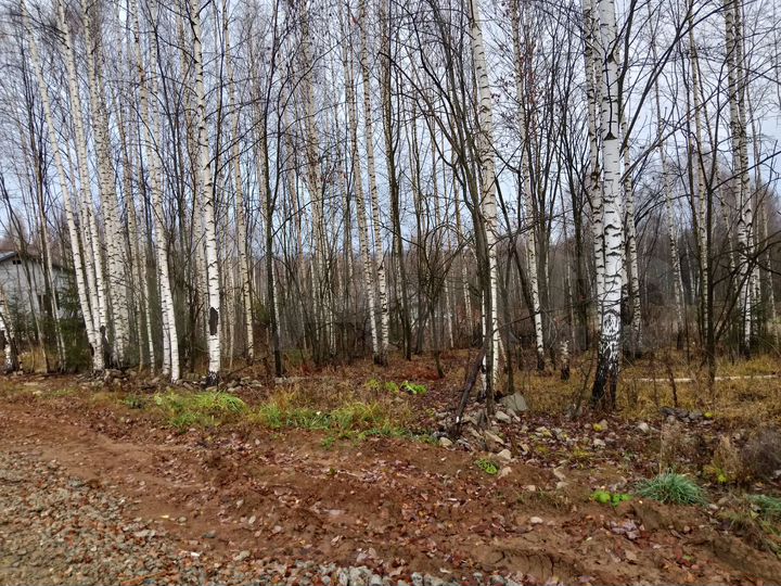 Участок 14 сот. (ИЖС)