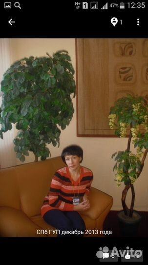 Администратор, менеджер, делопроизводитель