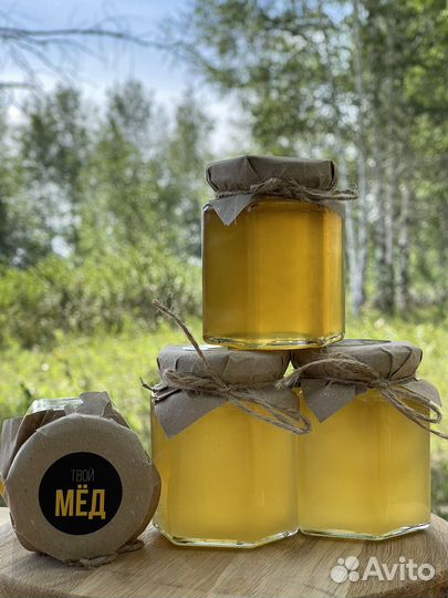 Мёд донниковый сбор 2023 натуральный Омский