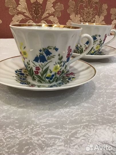 Чайные пары лфз лучистая