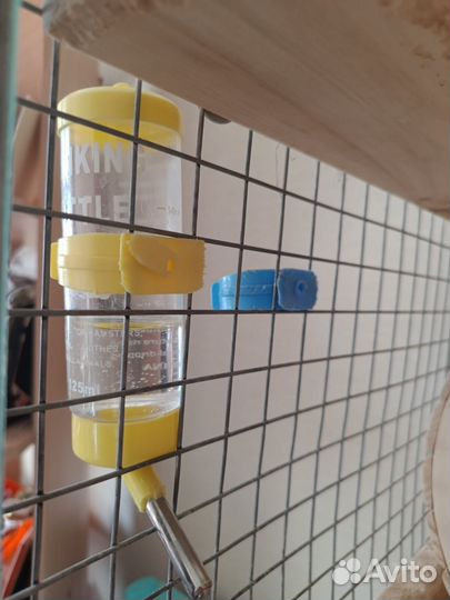 Клетка для шиншиллы и шиншилла