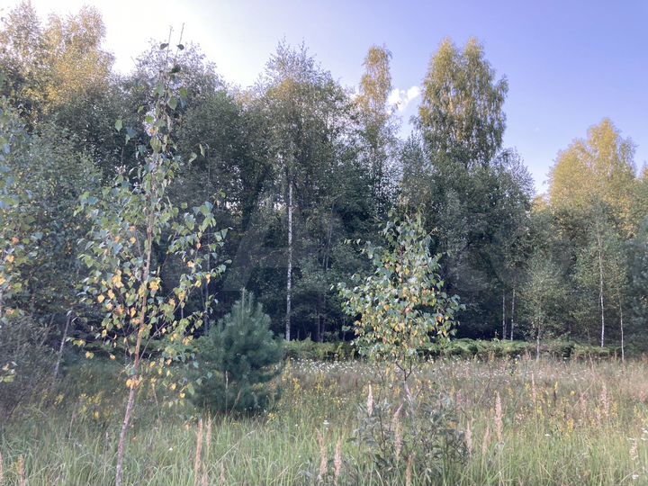 Участок 12 сот. (ИЖС)