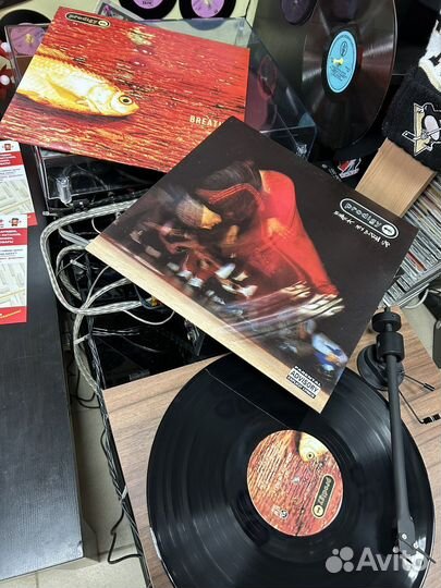 The prodigy LP CD single