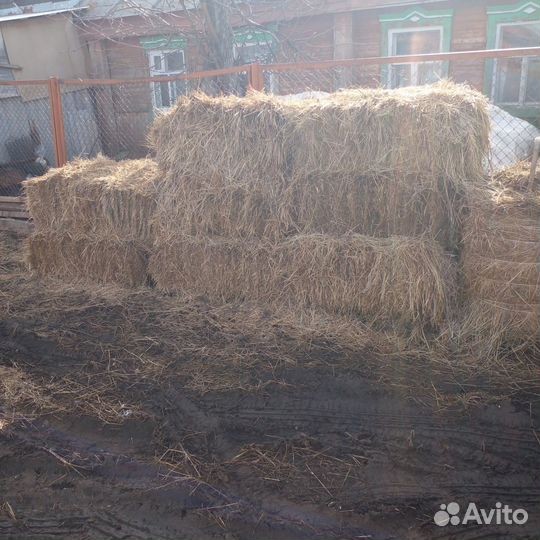 Сено в тюках