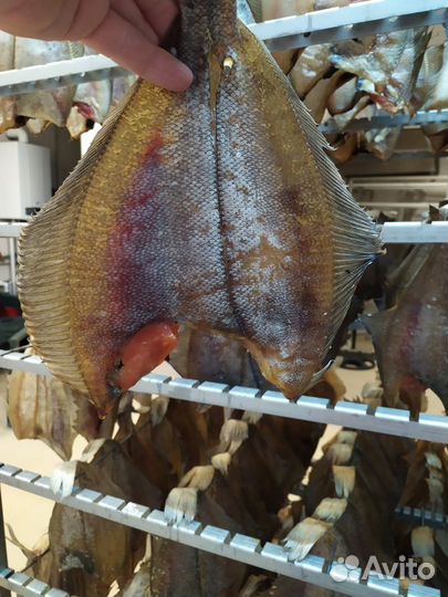 Камбала ерш вяленый от производителя
