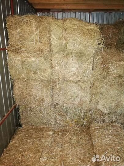 Сено в тюках