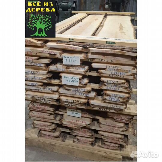 Слэб дерева липы