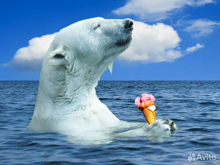 Упаковщик мороженого+проживание в Краснодарский кр