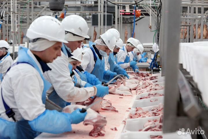 Вахта Мясное производство Индилайт Разнорабочие