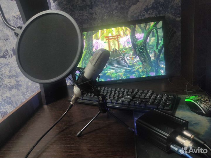 Студийный микрофон tascam TM-80