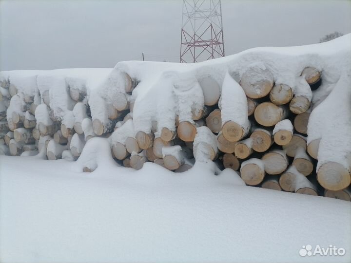 Лес кругляк береза осина