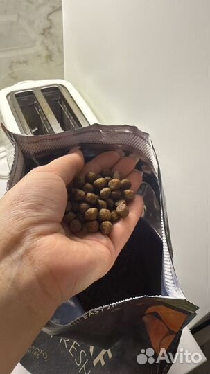 Корм для собак маленьких пород