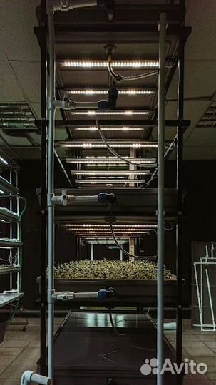 Ферма Аэропоника Автополив Фитосвет 5 ярусов