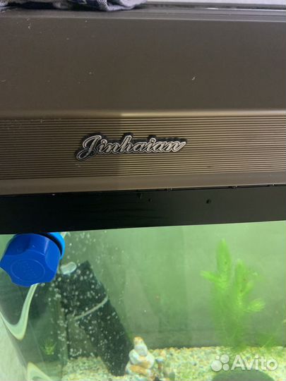 Аквариум