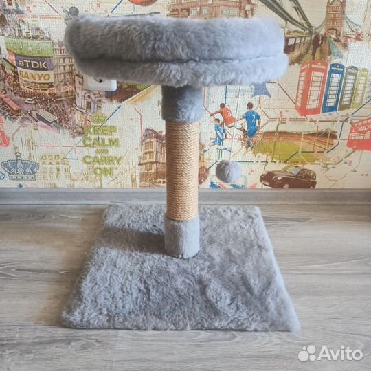 Когтеточка