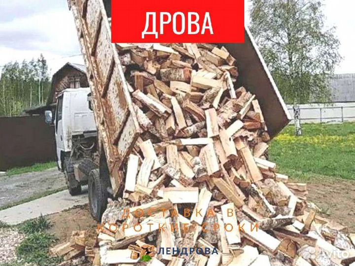 Дрова березовые