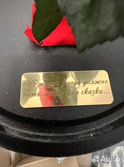 Вечная Роза в колбе