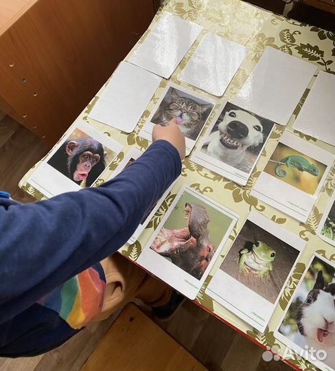 Логопед очно и онлайн