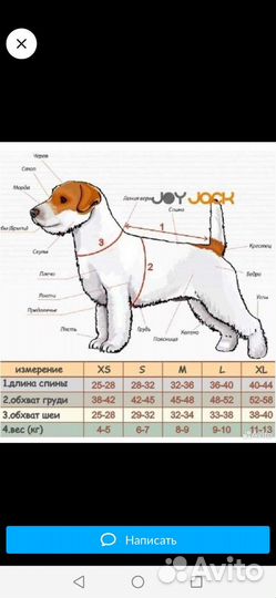 Тёплая одежда для джек рассел терьера joy jack