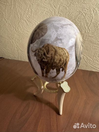 Сувенир подарок яйцо страуса