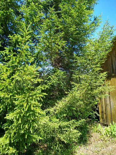 Участок 8 сот. (СНТ, ДНП)