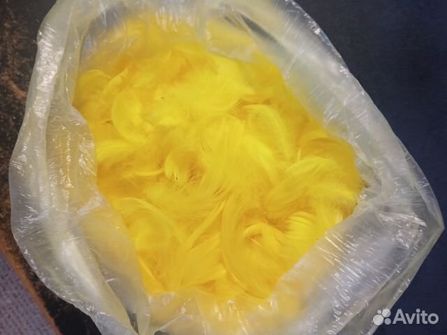 Перья декоративные