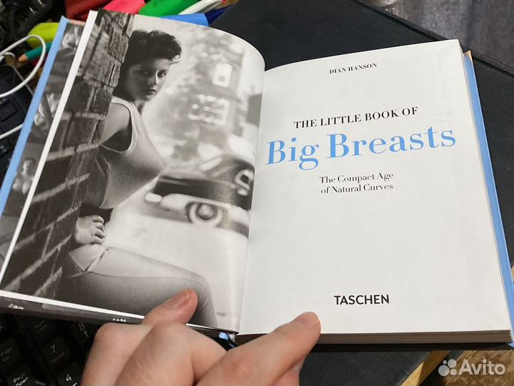 Маленькая книга больших грудей