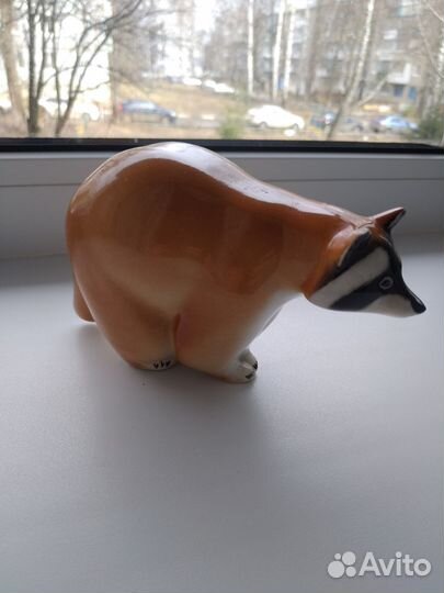 Енот идет к вам