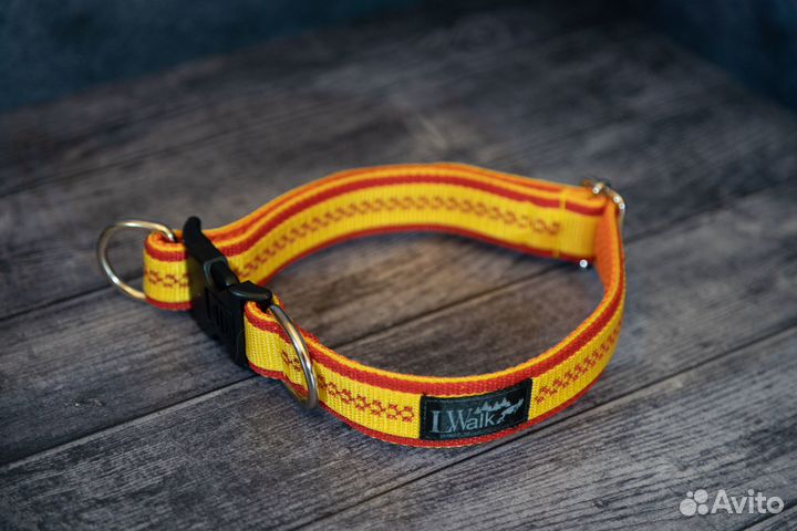Ошейники и другая амуниция для собак
