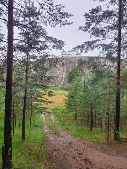 Участок 5 га (СНТ, ДНП)